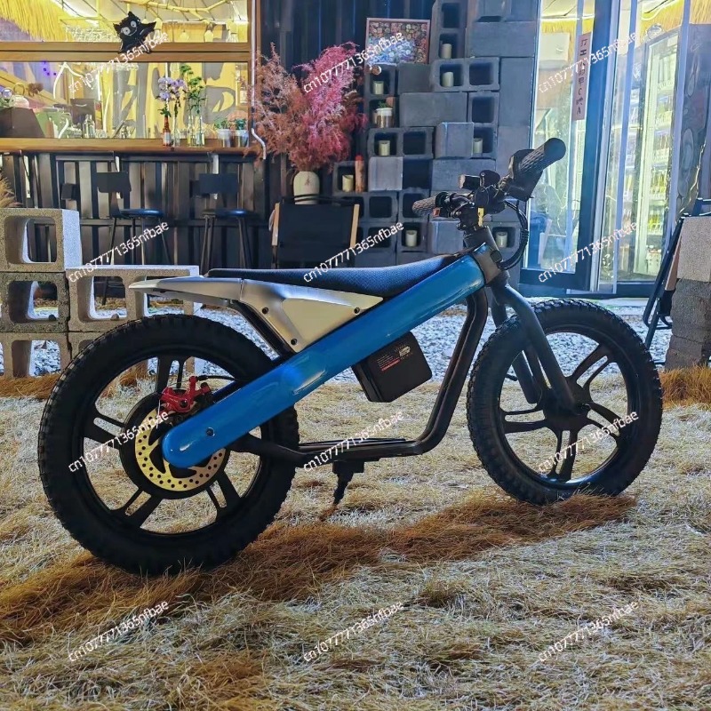 Sepeda Listrik Keseimbangan An - Kids Ride On Suitcase Scooter ulasan dan harga